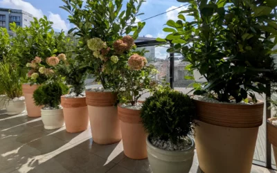 Aranżacja balkonu w stylu śródziemnomorskim – realizacja z donicami terakotowymi